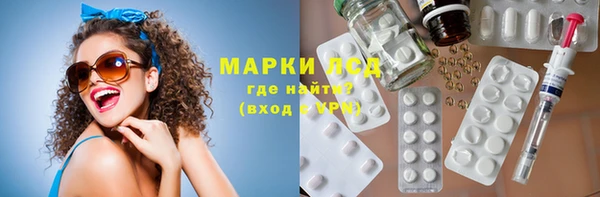 PSILOCYBIN Няндома