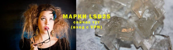 ешки Бердск