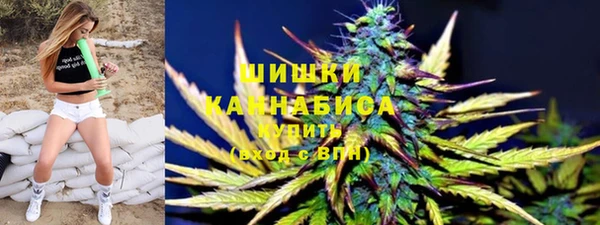 PSILOCYBIN Няндома