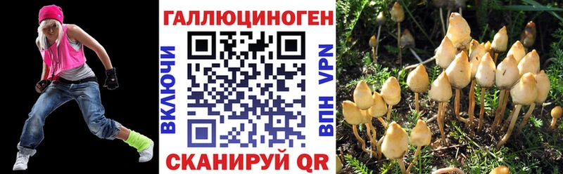 площадка клад  как найти   Астрахань  Галлюциногенные грибы мицелий 