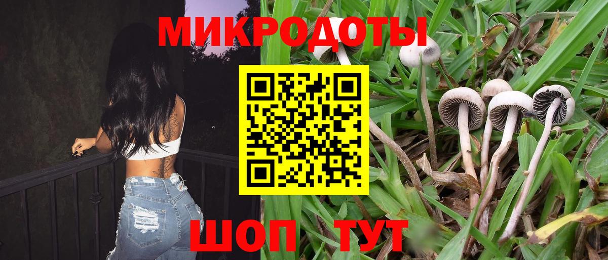Псилоцибиновые грибы MAGIC MUSHROOMS Астрахань