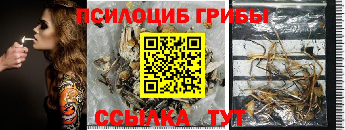 Псилоцибиновые грибы прущие грибы Астрахань