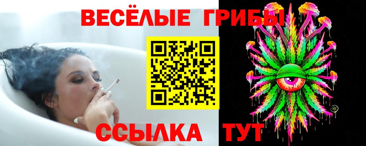 Псилоцибиновые грибы прущие грибы  Галлюциногенные грибы Cubensis  Астрахань 