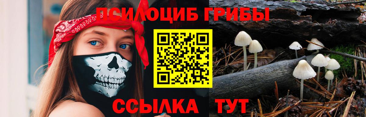 Псилоцибиновые грибы мухоморы  Псилоцибиновые грибы Cubensis  Астрахань  Вход с VPN 
